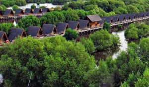 Taman Wisata Alam Mangrove Angke Kapuk