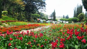 Taman Bunga Cihideung